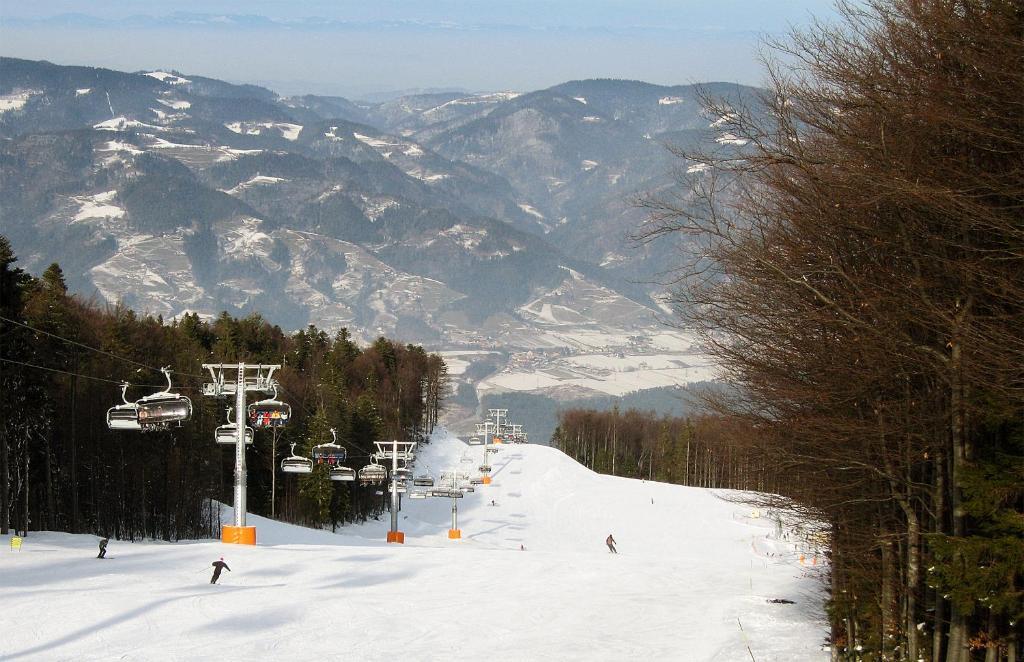Gasthof Pohorska Kavarna 3*